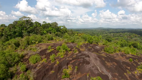 Savane-Roche-Virginie-Inselberg-En-Guayana.-Guayana-Del-Bosque-Amazónico-Por-Drone
